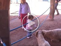 Clip 01 23